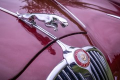 25017_Weaver_Wander__PR0011